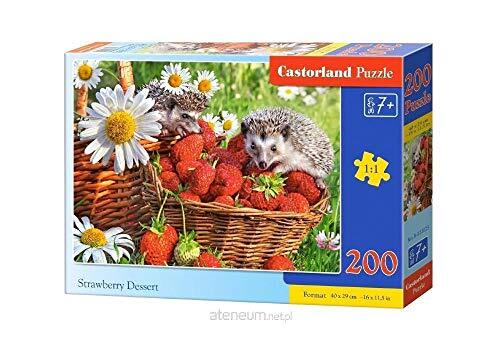 Castorland B-22025 Strawberry dessert, 200 stukjes puzzel, kleurrijk