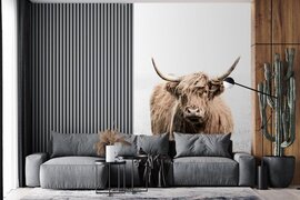 Nr1Wallpaper Behang - Fotobehang Schotse Hooglander - Gras - Wit - Breedte 180 cm x hoogte 280 cm