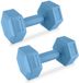 Spokey MONSTER Dumbbells - Blauw - 2x 2 kg