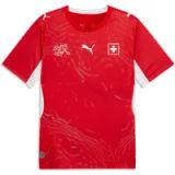 PUMA SFV Home Jersey replica