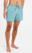 Protest Faster Short de bain Homme Arctic Green