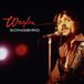 Songbird Waylon Jennings Songbird