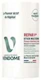 Laboratoires Vendôme Repar V+ Stick Multizones 50 g