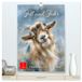 Fell Calvendo Fell und Feder - Tierporträts in sanften Farben (hochwertiger Premium Wandkalender 2027 DIN A2 hoch), Kunstdruck in Hochglanz