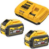 DeWalt DCB 117 Y2 kit de démarrage de batterie 18 V chargeur 12 A + 2x DCB 548 batterie 12,0 Ah
