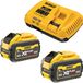 DeWalt DCB 117 Y2 kit de démarrage de batterie 18 V chargeur 12 A + 2x DCB 548 batterie 12,0 Ah