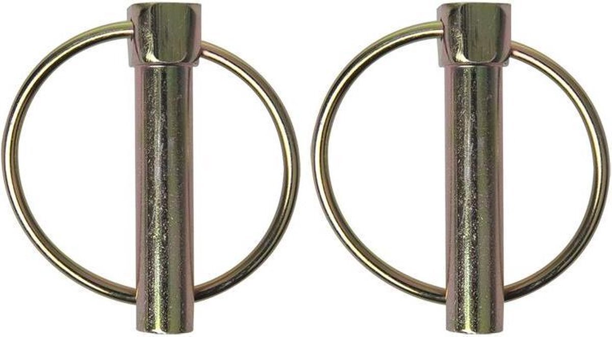 ProPlus Borgpen Met Ring Aluminium 10 Mm Zilver 2 Stuks