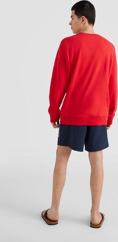 O'Neill Trui Triple Stack - Plaid - L - Heren