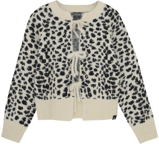 Indian Blue Jeans Knitted Spotty Truien & Vesten Meisjes - Sweater - Hoodie - Vest- Wit - Maat 176