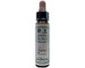 Ainsworths Gorse bach 10 ml