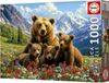Educa - Grizzlyberen Canada - 1000 stukjes - Legpuzzel