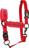 Holland Animal Care Excellent Horse Superior Essential Halster - M (Pony) - Rood