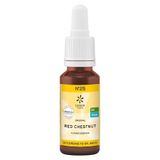 Fleurs de Bach Bio N°25 Marronnier Rouge 20ml
