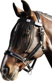Harry's Horse Vliegenfrontriem Cob - Zwart/Navy-Fuchsia