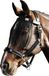 Harry's Horse Vliegenfrontriem Cob - Zwart/Navy-Fuchsia