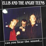 Sonic Rendezvous Ellis & The Angry Teens - Can You Hear The Sound... (CD)