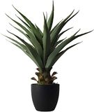 Damomo 27 Inch Sansevieria Feaux Planten Agave Snake Plant Prikkeldraad Kunstmatige Nep Groen Plastic Zwaard Ingemaakte Groen Decoratie Kantoor/Tuin/Indoor
