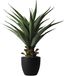 Damomo 27 Inch Sansevieria Feaux Planten Agave Snake Plant Prikkeldraad Kunstmatige Nep Groen Plastic Zwaard Ingemaakte Groen Decoratie Kantoor/Tuin/Indoor