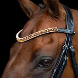 Imperial Riding SS26 Frontriem IRHGrande-Bronze-F/S