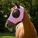 QHP Paardenvliegen hoed Super bug Pony