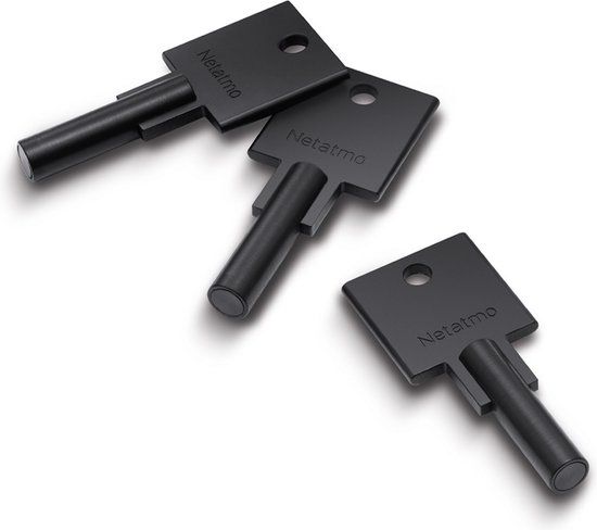 Netatmo Elektrisch deurslot - Slimme Sleutels - 3 sleutels - Silver