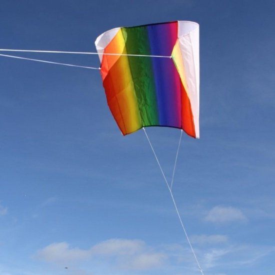 Wolkensturmer Kindervlieger Wolkensturmer Sled Rainbow 1100 Regenboog - 65 x 44 cm