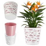 Merkloos / Sans marque KADAX Bloempot, sierpot, ronde sierpot van kunststof, plantenbak voor bloemen, planten, balkon, bloempot voor binnenshuis, lichte plantenbak, moderne bloempot (15 cm, roze)