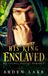His King Enslaved: An MM Science Fantasy Romance
