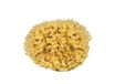 Croll & Denecke M130 natuurspons uit de Middellandse Zee, mediumkwaliteit, grootte 13 cm, natuur