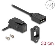 Delock Keystone Module Mini DisplayPort panel mount female to DisplayPort female 45° angled with 30 cm cable 8K 30 Hz black