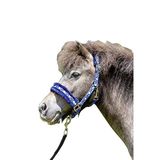HKM Halster Heart - maat Pony - blue