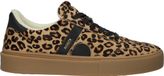 Blackstone QUARTZ AUDEN - EL298 Leopard - Lage sneaker - Dames - Bruin - Maat 37