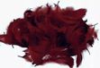 Housse de couette marron (chocolat)