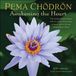 Pema Chödrön 2027 Wall Calendar: Awakening the Heart--A Year of Inspiring Quotes