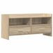 vidaXL TV-kast 100 x 33 x 47 cm Sonoma Eiken Bewerkt hout