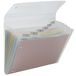 Rexel 2102033 Waaiertas ICE, blanco, 6 vakken, 1 stuk, transparant