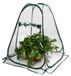 Mini serre voor plantenbescherming