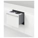 Fisher & Paykel Icecat DD60STX6HI1
