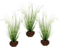 Kunstgras Bol Kunstmatig vossenstaartgras in struikgewas nestgras kunstplant kunstgras groene planten decoratief gras graspluimen siergras solitair gras decoratie borstelgras veergras fonteingras, 28x10x10cm