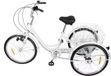 Bolt Edge Tricycle Lizo - 6 vitesses - Vélo pour adultes et seniors - 24 pouces - Trike pliable - Avec panier - Noir