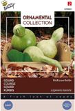 Buzzy Ornamental Gourd Birdhouse/Bottle (Lagenaria leuc.)