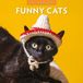 Red Robin Funny Cats Kalender 2027