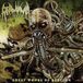 Sonic Rendezvous Reanima - Great Whore Of Babylon (CD)