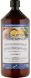 Claudius Cosmetics B.V. Bodylotion Fresh Ginger 1 Liter
