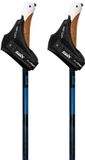 Swix Dynamic D2 Stokken Zwart 170 cm