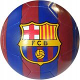 Van der Meulen FC Barcelona Voetbal Home Maat 2