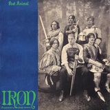 Iron Expansion Pack - Silver