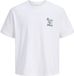 JACK & JONES T-shirt met ronde hals en korte mouwen van 100% katoen voor heren