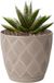 Form Plastic Plantenpot/bloempot New Age - kunststof - beige - D23 x H21 cm - met opvang schotel - rond
