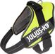 Julius-K9 IDC®Powair-tuig, XL - maat 2, néon